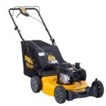 DEWALT 21 in. Low Wheel Self-Propelled RWD Gas Mower